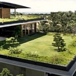 Le toit végétal : principe, avantages et prix